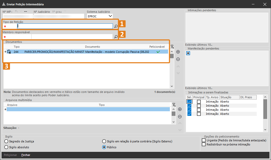 09 tela Enviar Petição Intermediária.png