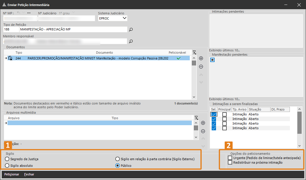 09 tela Enviar Petição Intermediária sigilo e opcoes peticionamento.png