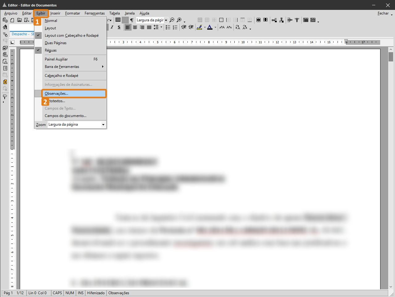 inserir_observacoes_editor_004.png
