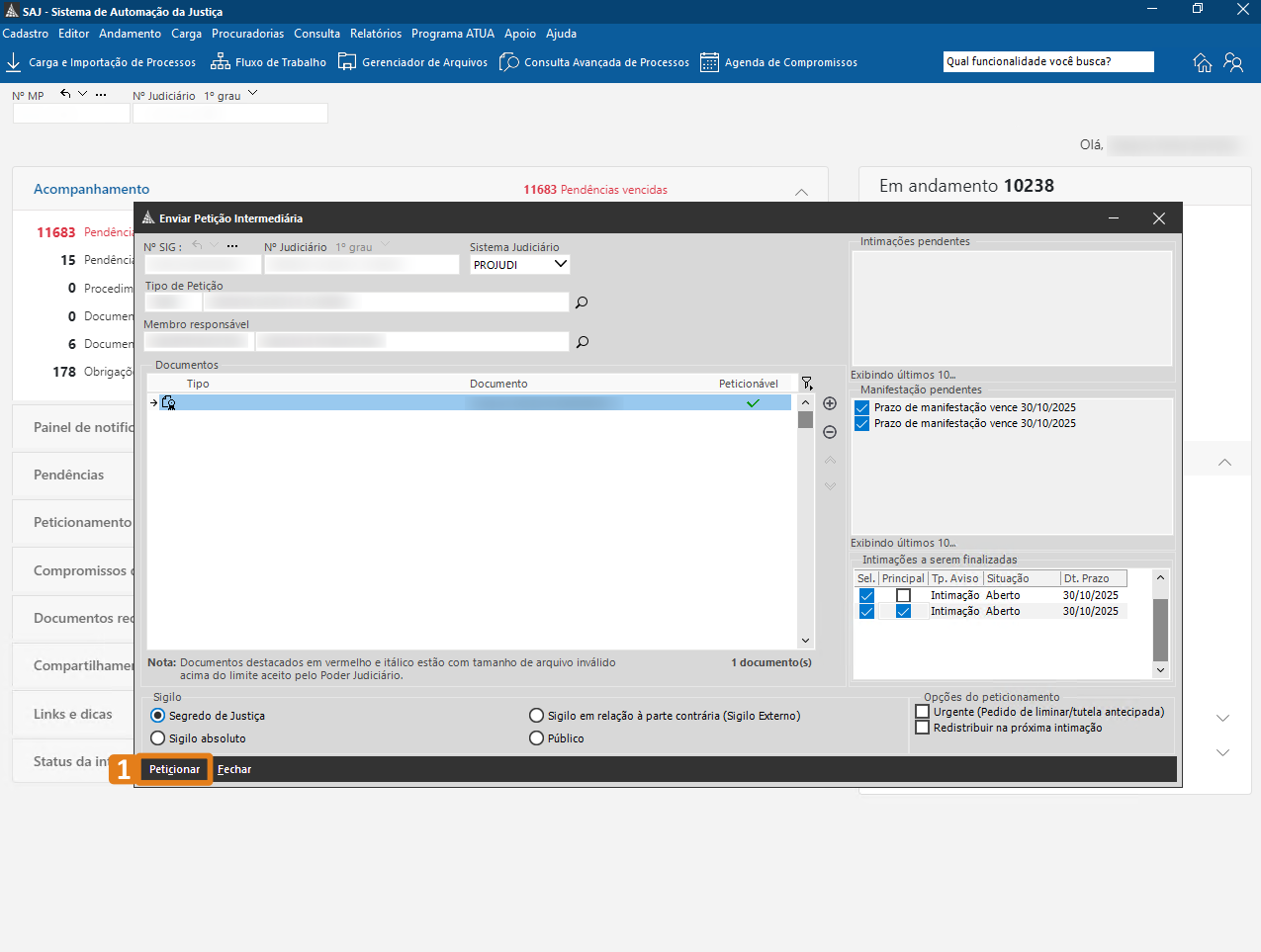 passo 3 - opcao peticionar.png