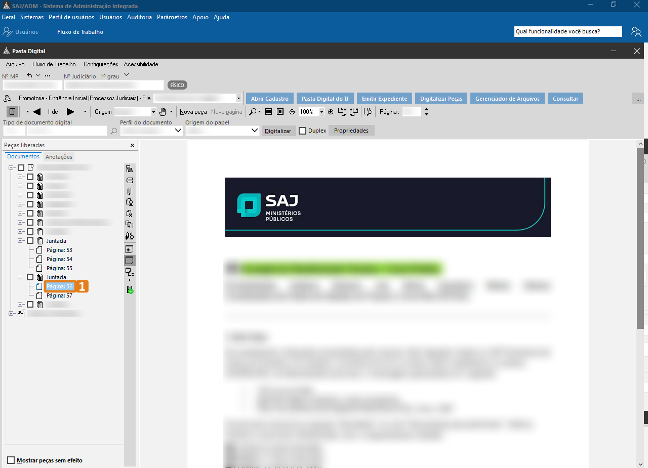 passo 4 - documento separado.png