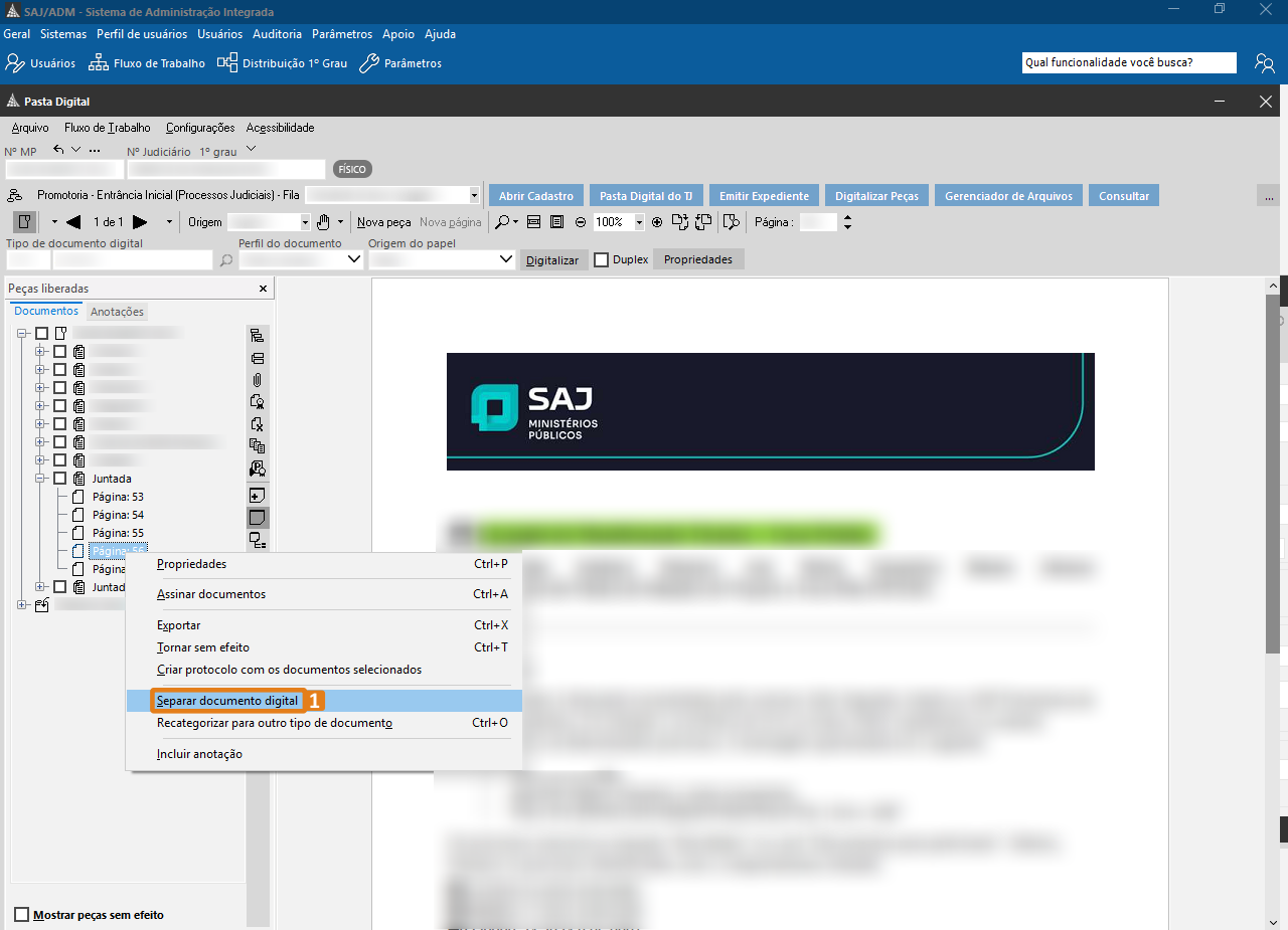 passo 3 - opcao separar documento digital.png