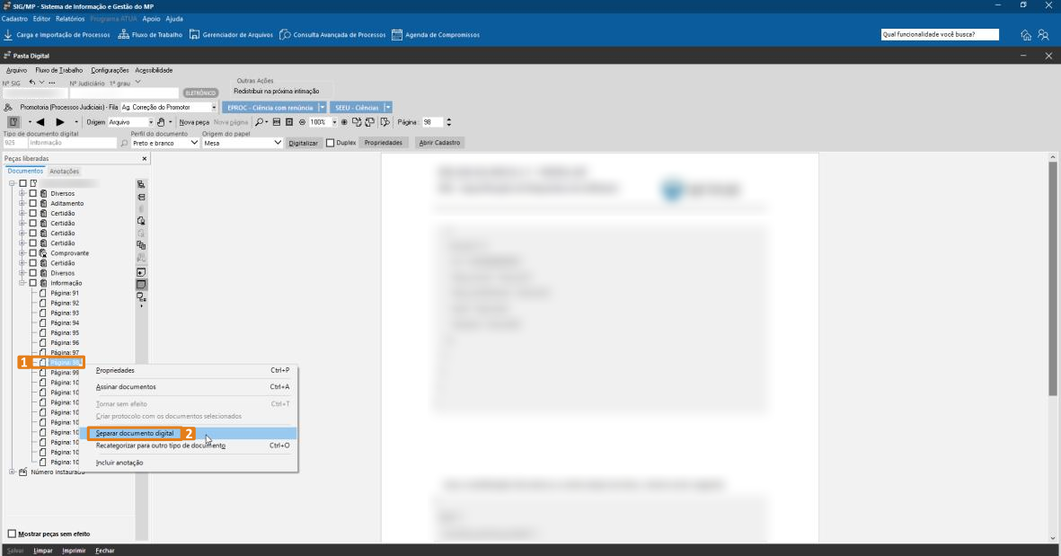 passo 5 - selecionar documento - opcao separar.png