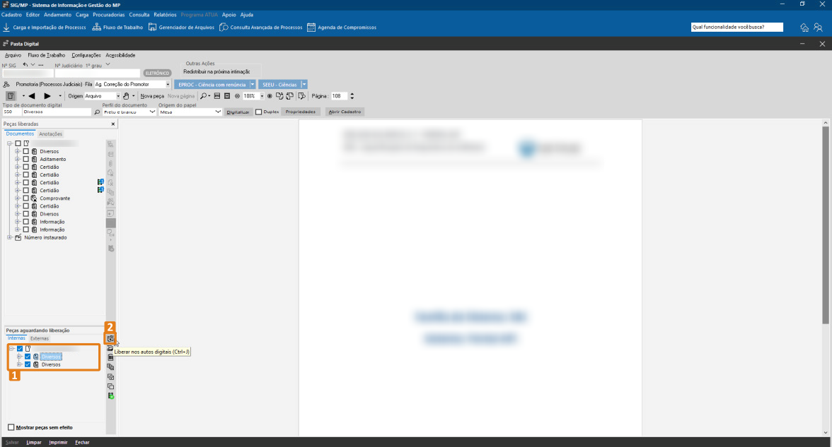 passo 8 - selecionar documentos - opcao liberar nos autos.png