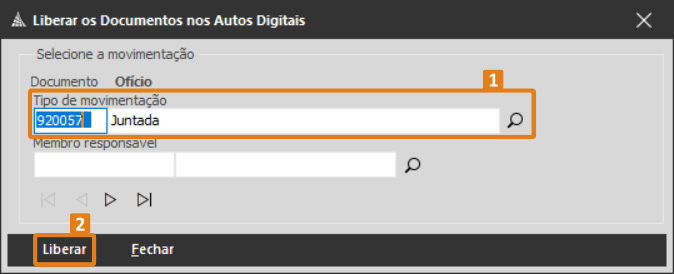 passo 10 - tipo movimentacao - opcao liberar.png