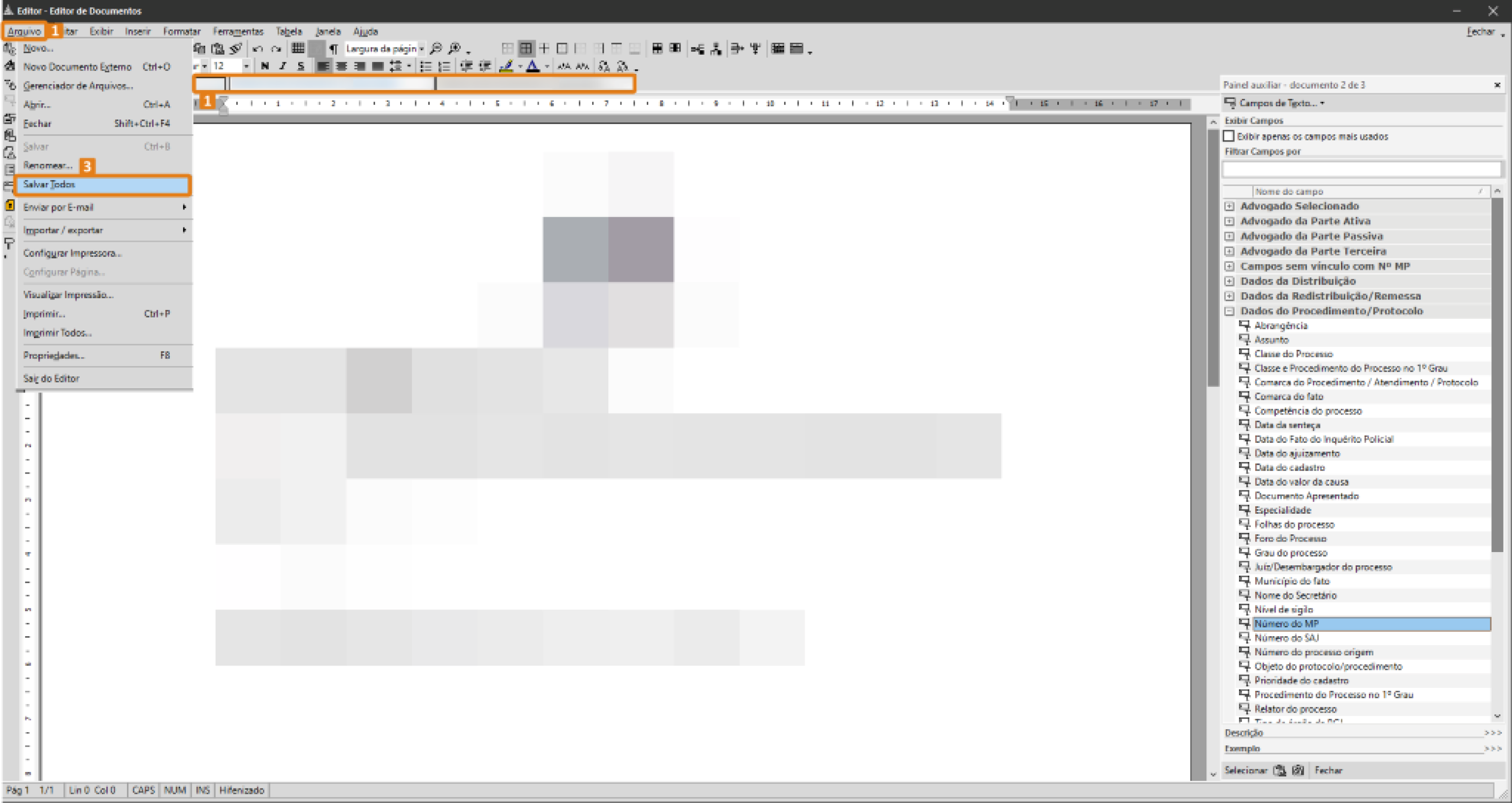 passo 5 - editor de documentos.png