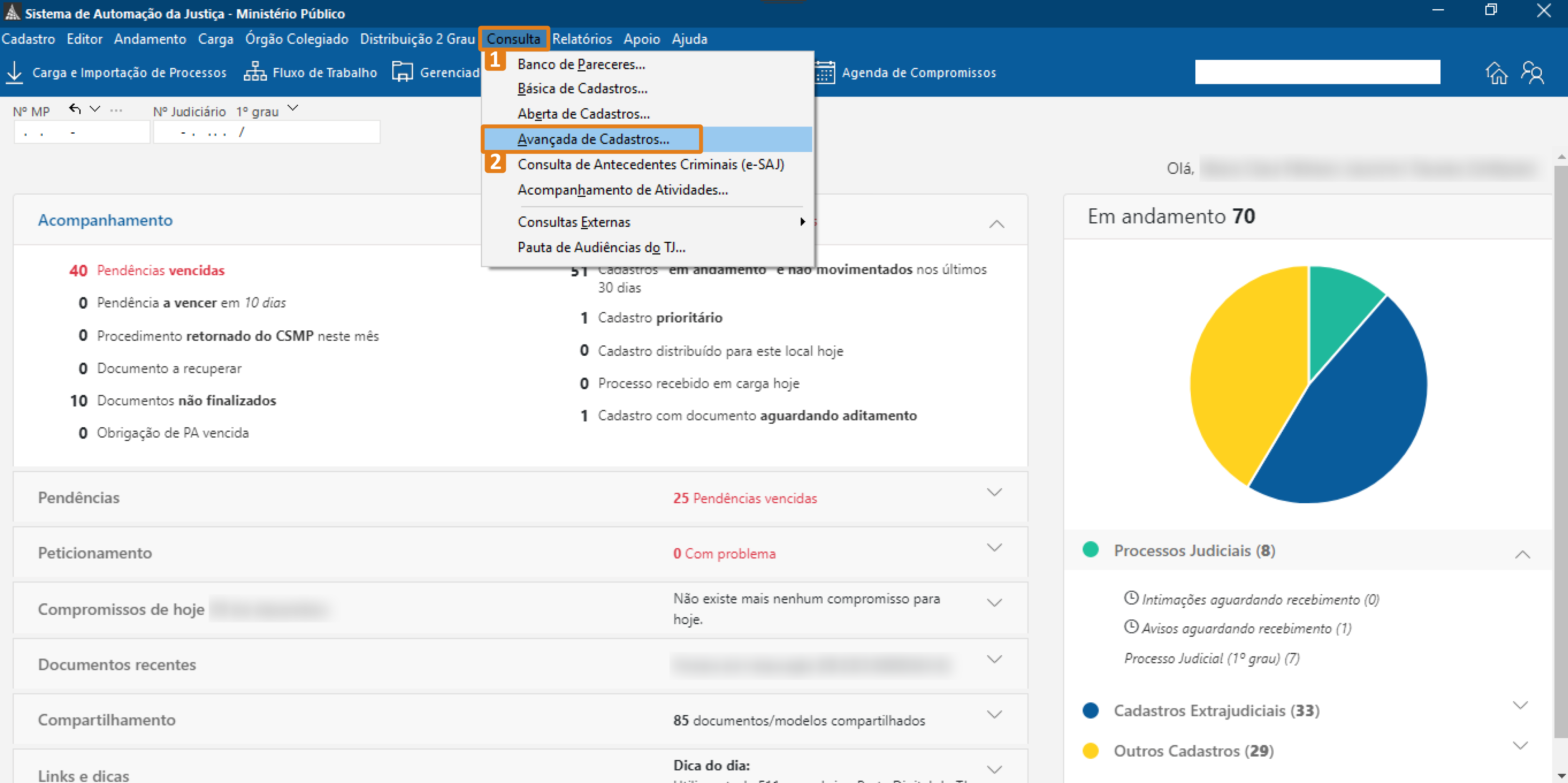 Interface do SAJ – aba “Consulta” e opção “Avançada de Cadastros” destacadas em laranja no menu superior.