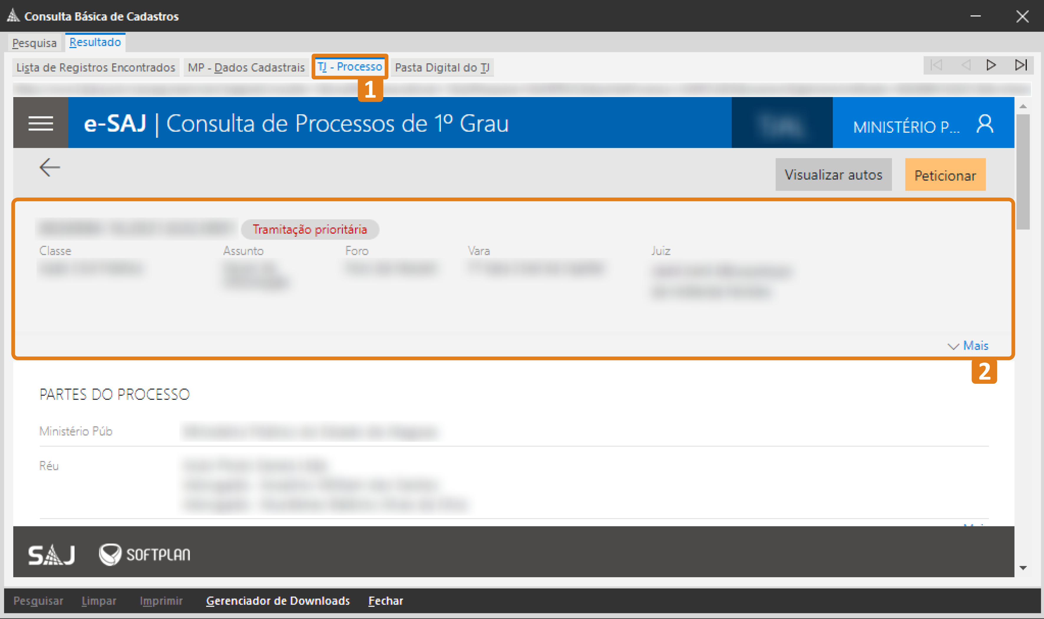 Tela da Consulta Básica de Cadastros do SAJ mostrando a visualização do processo. O destaque em laranja indica a aba “TJ – Processo” selecionada (1) e a área superior com informações principais do processo delimitada (2).