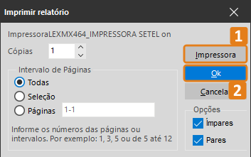 relatorio_procedimento_prazo_vencido_006.png